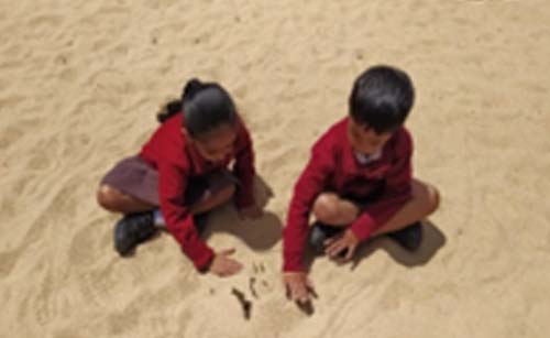 Motor skills activity