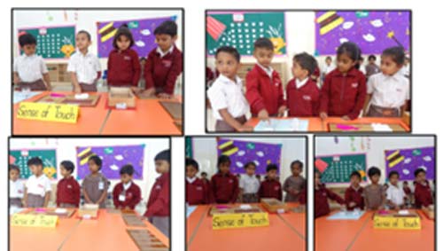 Environmental science activity