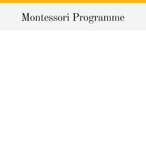 Montessori Programmes