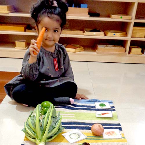 Culture Activities 1