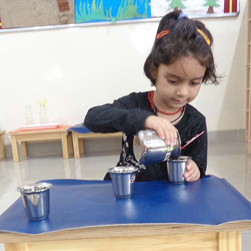 Practical Life Activities 5