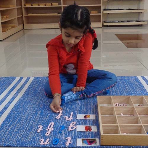 Language Activities 3