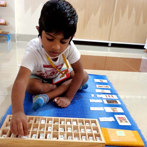 Language Activities 4