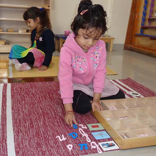 Language Activities 5