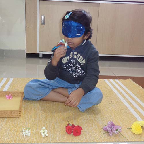 Sensorial Activities 4